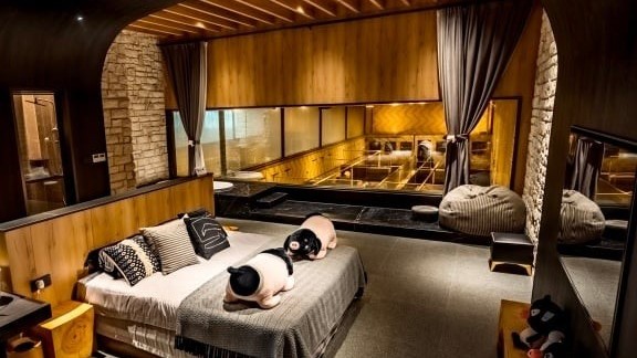 Trung Quốc: Khách sạn cao cấp hút khách nhờ có view nhìn ra...chuồng lợn