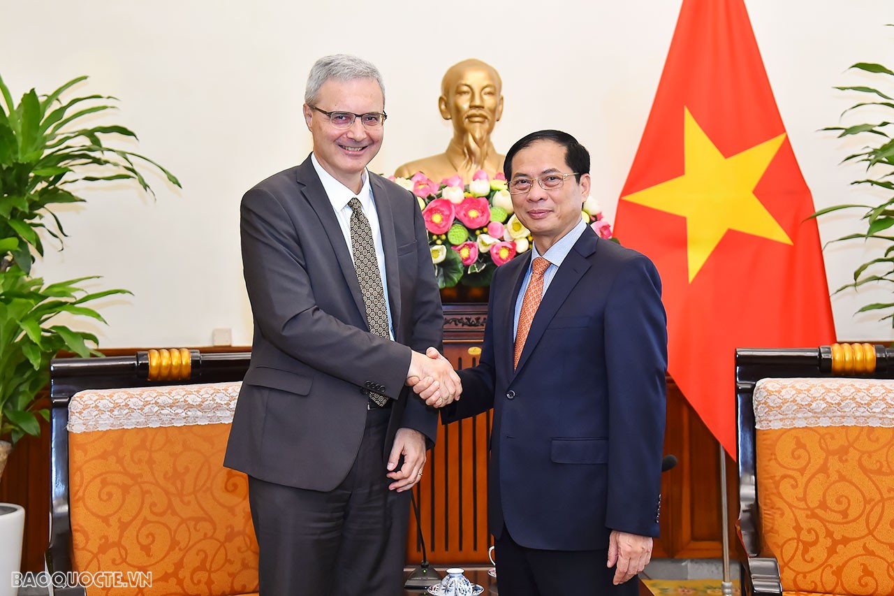 Pháp sẽ tích cực hỗ trợ Việt Nam trong phát triển năng lượng tái tạo Pháp sẽ tích cực hỗ trợ Việt Nam trong phát triển năng lượng tái tạo