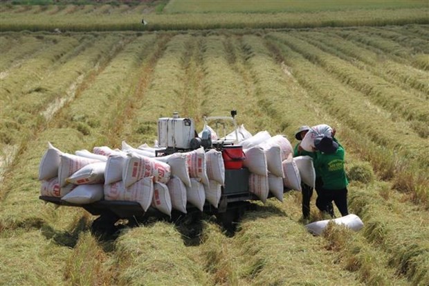 Chile now Vietnam"s important market in Latin America | Business | Vietnam+ (VietnamPlus)