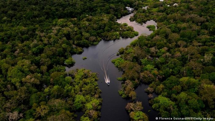 Bảo vệ rừng nhiệt đới Amazon - 'lá phổi xanh của Trái đất' để chống biến đổi khí hậu