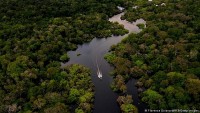 Bảo vệ rừng nhiệt đới Amazon - 'lá phổi xanh của Trái đất' để chống biến đổi khí hậu