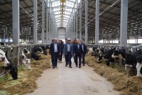 Đại sứ Đặng Minh Khôi thăm và làm việc tại các cơ sở thuộc tập đoàn TH True Milk tại tỉnh Kaluga, Nga
