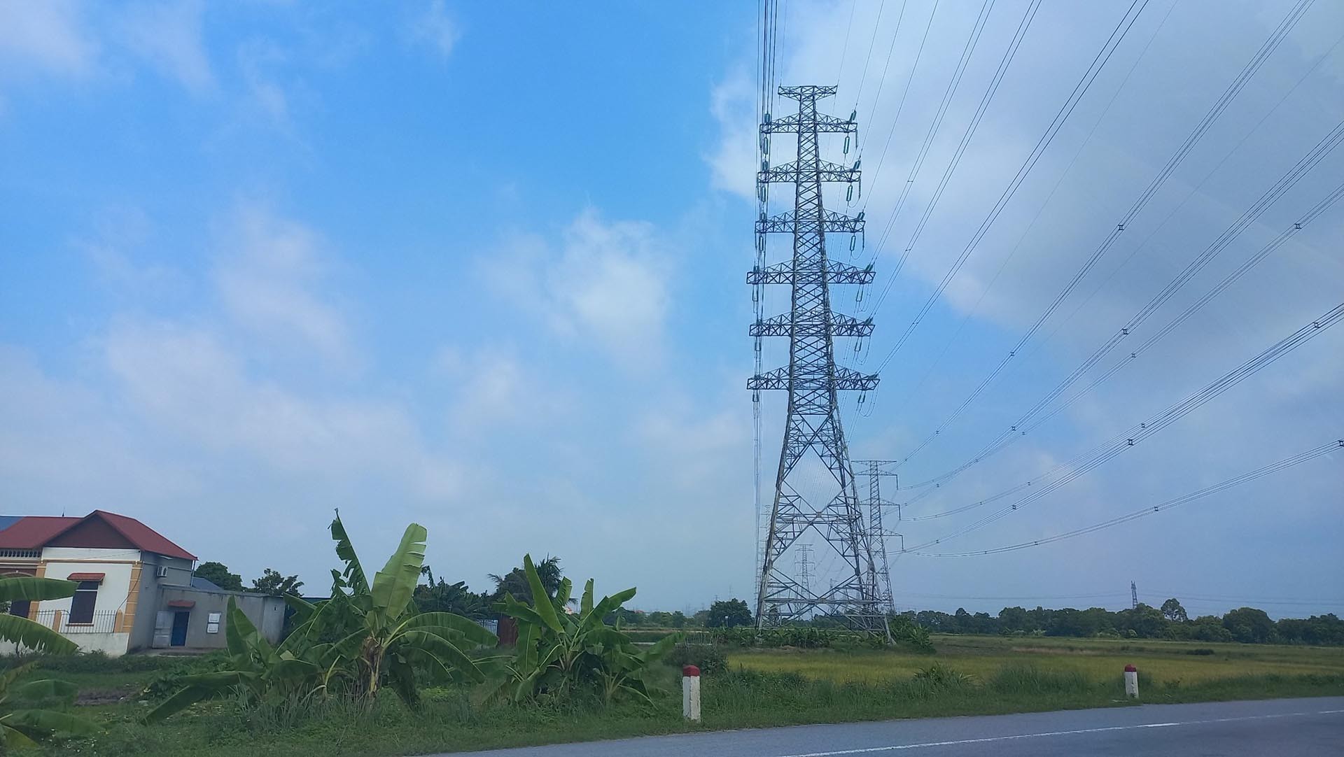 Đường dây 220kV chạy qua địa bàn xã Cẩm Hưng. (Nguồn: Thanh niên)