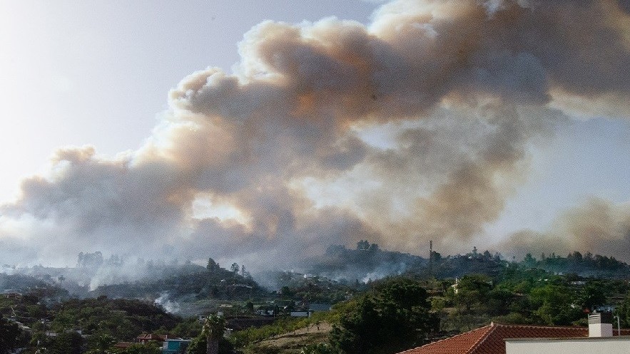 Tây Ban Nha: Cháy rừng tại đảo La Palma, hàng nghìn người sơ tán