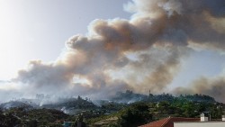 Tây Ban Nha: Cháy rừng tại đảo La Palma, hàng nghìn người sơ tán