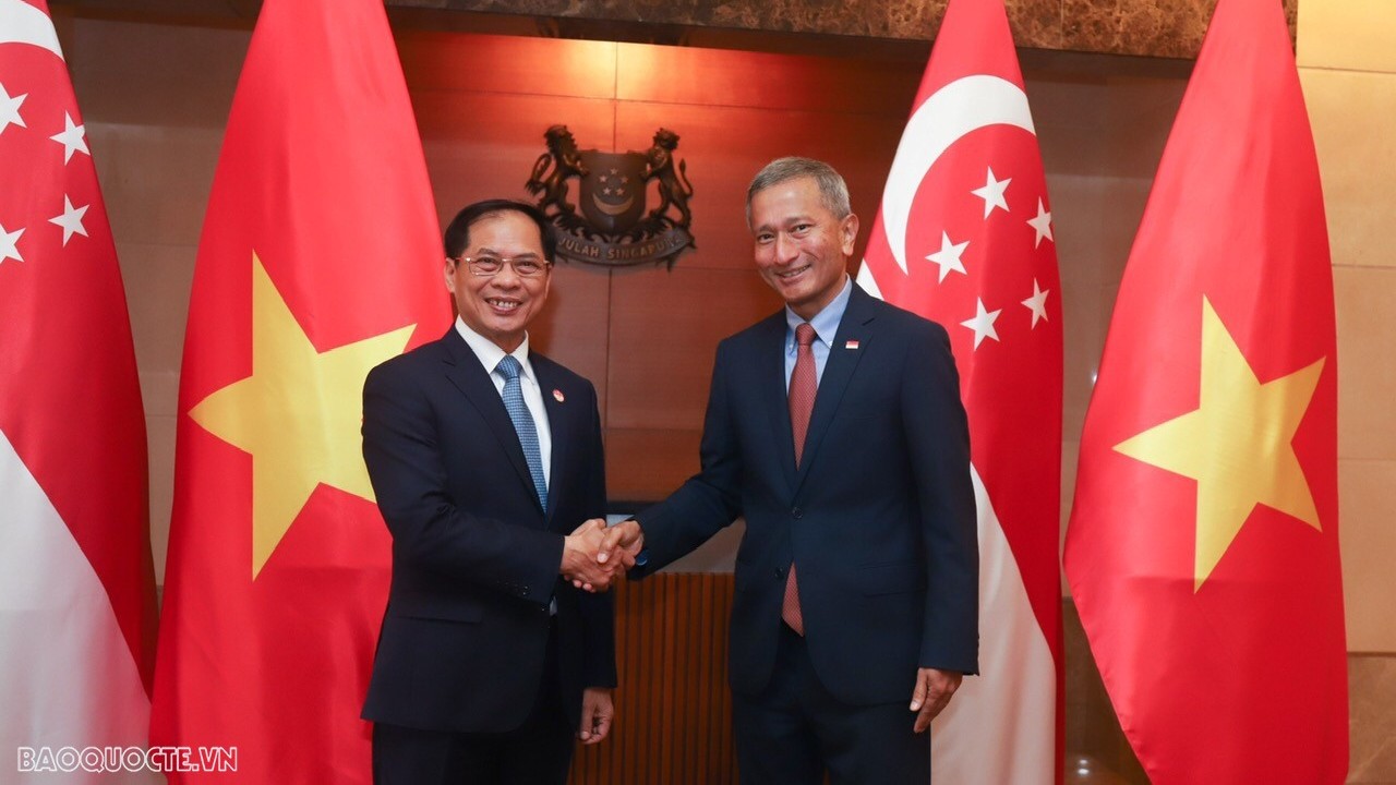 Foreign Minister Bui Thanh Son pays official visit to Singapore