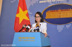 Việt Nam hoan nghênh sáng kiến thúc đẩy kết nối và hợp tác khu vực như BRI