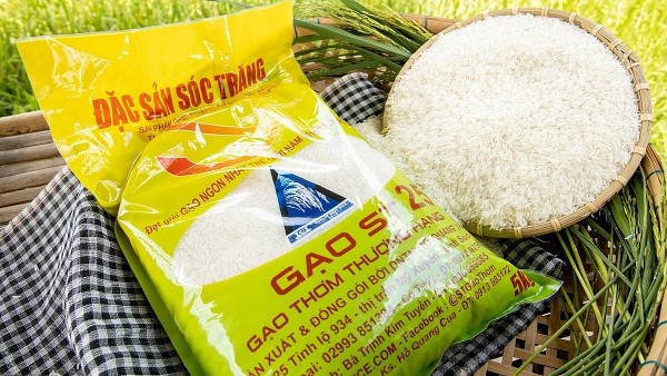 Rice sector needs more support to shift from quantity to quality