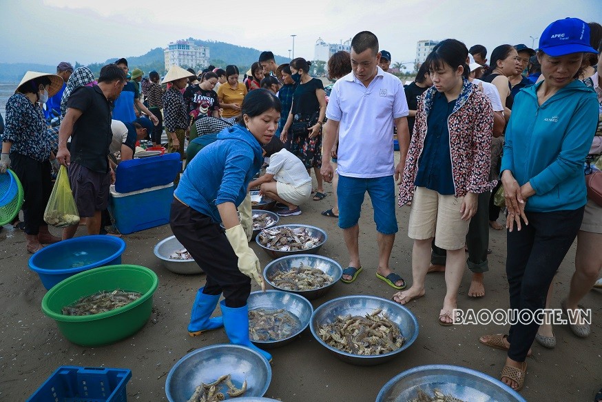 Chợ hải sản buổi bình minh