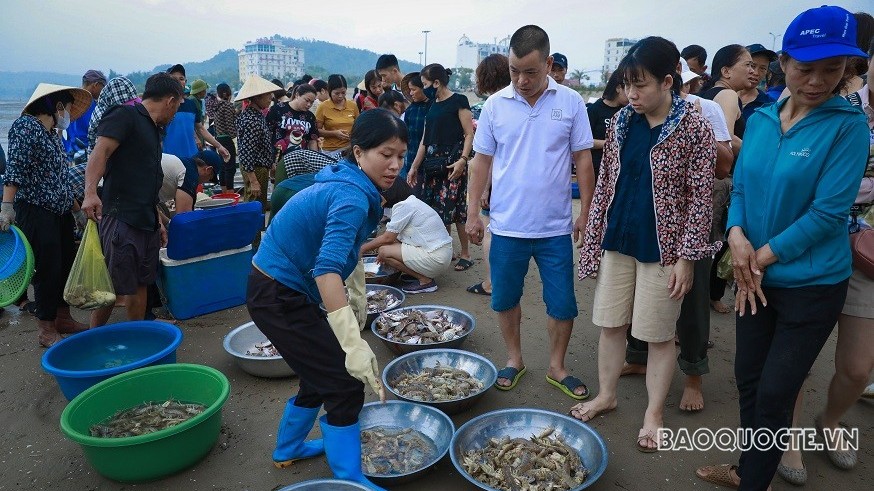 Chợ hải sản Hải Hòa buổi bình minh