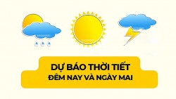 Dự báo thời tiết đêm nay và ngày mai (4-5/8): Hà Nội, Bắc Bộ, Thanh Hóa, Nghệ An mưa vừa, mưa to, có nơi mưa rất to; Trung Trung Bộ nắng nóng