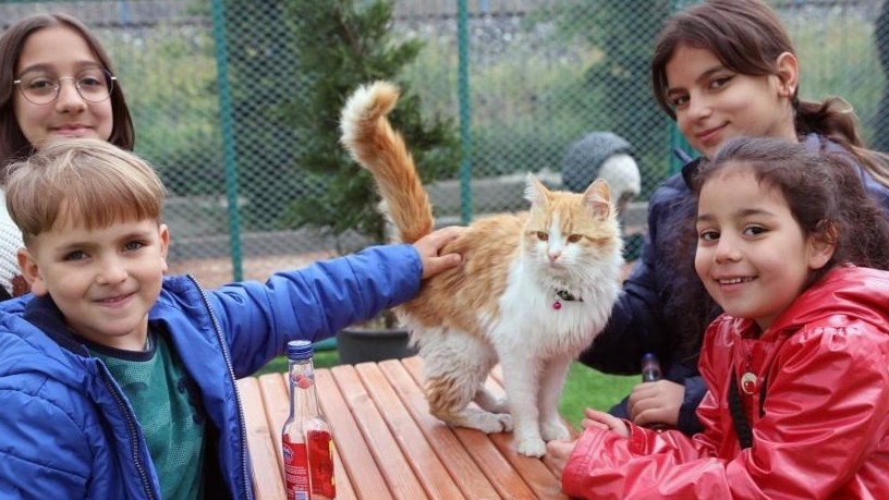 Thổ Nhĩ Kỳ: Ghé thăm thị trấn yên bình của những chú mèo hoang