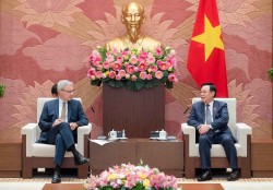 Tiếp tục củng cố, tăng cường quan hệ Đối tác chiến lược Việt Nam-Pháp