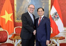 Bộ trưởng Ngoại giao Bùi Thanh Sơn gặp Bộ trưởng Ngoại giao Áo Alexander Schallenberg
