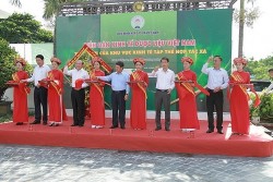 Khai phá tiềm năng của kinh tế dược liệu Việt Nam
