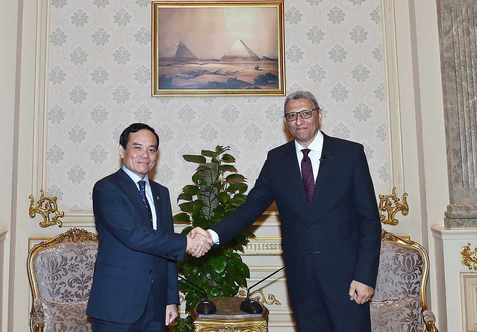Phó Thủ tướng Trần Lưu Quang gặp Phó Chủ tịch thứ nhất Hạ viện Ai Cập Ahmed Saad El-Din Mohamed Abd El-Rehim. (Nguồn: VGP)