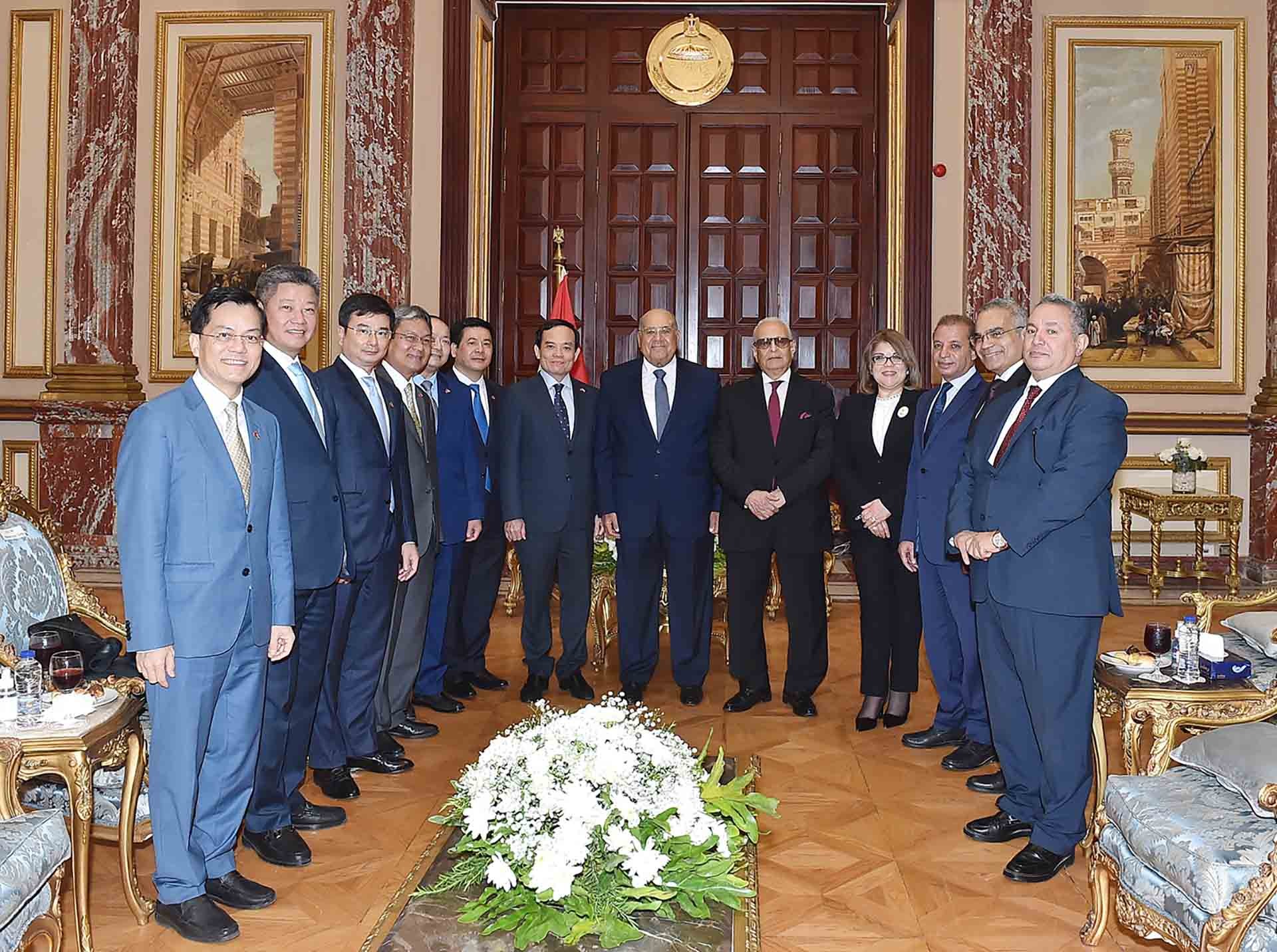 Phó Thủ tướng Trần Lưu Quang hội kiến Chủ tịch Thượng viện Ai Cập Abdel-Wahab Abdel-Razek. (Nguồn: VGP)