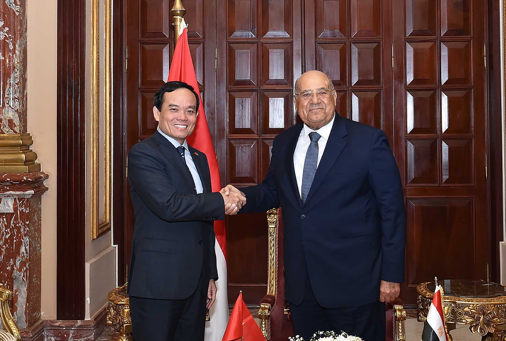 Phó Thủ tướng Trần Lưu Quang hội kiến Chủ tịch Thượng viện Ai Cập Abdel-Wahab Abdel-Razek. (Nguồn: VGP)
