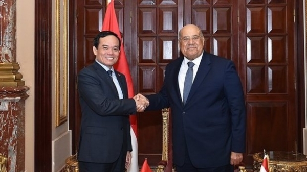 Deputy PM Tran Luu Quang meets with top Egyptian legislators