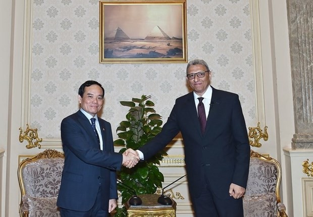 Deputy PM Tran Luu Quang meets with top Egyptian legislators