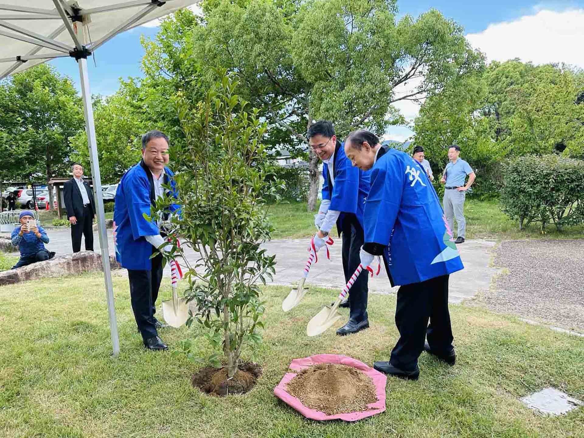 Đại sứ Phạm Quang Hiệu cùng với Chủ tịch Nikai trồng cây hoa anh đào kỉ niệm bên cạnh hồ sen Việt Nam tại thành phố Kinokawa.