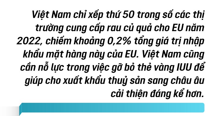 3 năm thực thi Hiệp định EVFTA: Những vấn đề đặt ra sau ‘điểm sáng’ thương mại