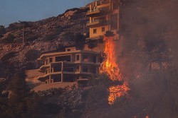 Cháy rừng đang tàn phá hệ sinh thái của Hy Lạp