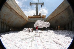 Lo ngại  tác động từ El Nino, Philippines muốn mua gạo của Ấn Độ để tăng dự trữ quốc gia