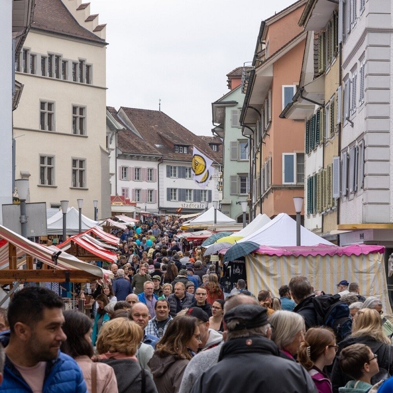 “Vietnam's golden flower bubs” in Marktmeile Sursee of Switzerland