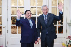 Nâng cao sự tin cậy chiến lược Việt Nam-Singapore