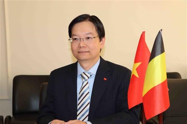 EVFTA opens door wider for Vietnamese goods to EU | Business | Vietnam+ (VietnamPlus)