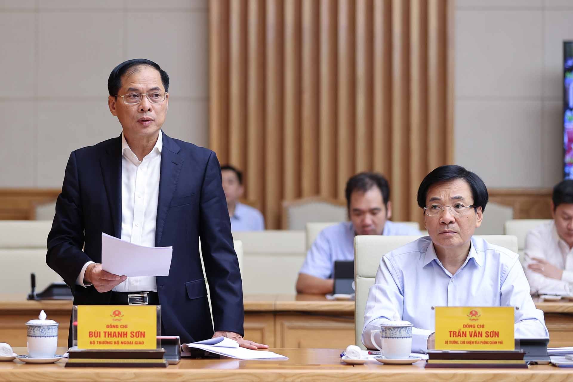 Bộ trưởng Ngoại giao Bùi Thanh Sơn phát biểu tại phiên họp. (Nguồn: VGP)