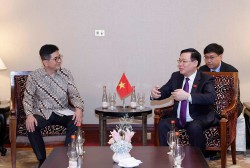 Tạo cơ hội cho doanh nghiệp Việt Nam-Indonesia gắn kết, tạo ra chuỗi cung ứng mới