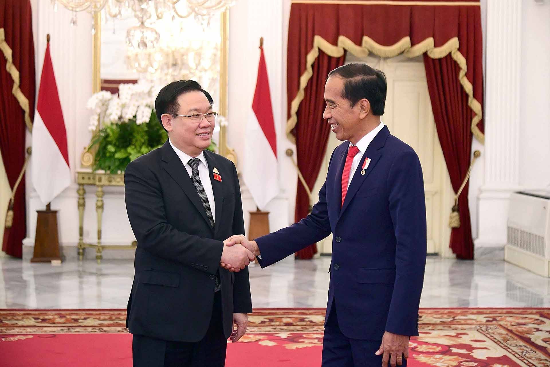 Chủ tịch Quốc hội Vương Đình Huệ hội kiến với Tổng thống Indonesia Joko Widodo. (Nguồn: TTXVN)
