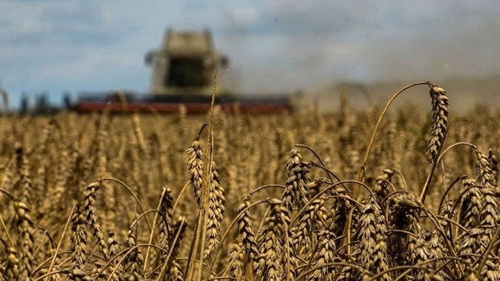 Bị Ba Lan và bốn nước EU 'xa lánh', ngũ cốc Ukraine chật vật tìm hướng đi, lộ người chơi duy nhất hưởng lợi