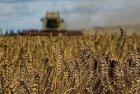 Ba Lan quyết tâm 'xa lánh' ngũ cốc Ukraine, nhấn mạnh điều quan trọng nhất