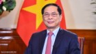 Bộ trưởng Bùi Thanh Sơn gửi thư chúc mừng nhân dịp kỷ niệm 78 năm ngày thành lập ngành Ngoại giao