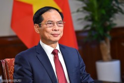 Bộ trưởng Ngoại giao Bùi Thanh Sơn sẽ tham dự Hội nghị Bộ trưởng hợp tác Mekong-Lan Thương