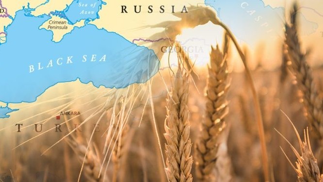 Đại sứ Nga: Cơ hội khôi phục Sáng kiến Ngũ cốc luôn rộng mở, chỉ cần một điều
