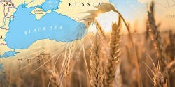 Đại sứ Nga: Cơ hội khôi phục Sáng kiến Ngũ cốc luôn rộng mở, chỉ cần một điều