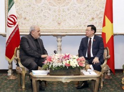 Hợp tác kinh tế, thương mại là lĩnh vực luôn được lãnh đạo Việt Nam-Iran hết sức quan tâm