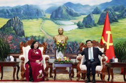 Đoàn đại biểu cấp cao Đảng Cộng sản Việt Nam thăm và làm việc tại Lào