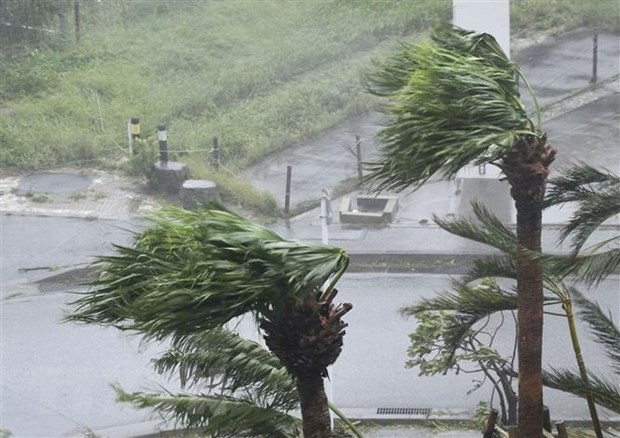 Vietnam Airlines to adjust flight schedules over typhoon Khanun impact