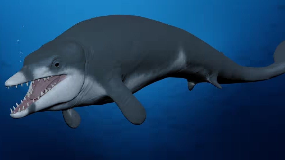 Ai Cập: Phát hiện hóa thạch cá voi loại nhỏ, đã tuyệt chủng cách đây hơn 41 triệu năm