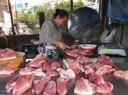 Giá heo hơi hôm nay 11/8: Giá heo hơi biến động trái chiều, Việt Nam mua thịt từ Ấn Độ nhiều nhất