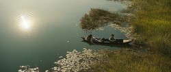 Phim điện ảnh 'Đất rừng phương Nam' ra trailer đầu tiên, hé lộ nhiều hình ảnh đặc sắc vùng đất Nam Bộ