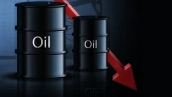 Giá xăng dầu hôm nay 28/7: Tuần trượt dốc
