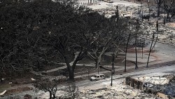 Mỹ: Đám cháy ở Hawaii thiêu rụi cây đa 150 tuổi, tán rộng hơn 4.000 mét vuông