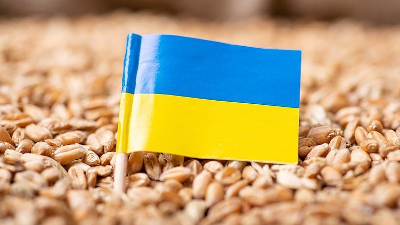 Sáng kiến ngũ cốc Biển Đen ‘đắp chiếu’, Ukraine mở ‘đường máu’ cho nông sản. (Nguồn: Tastingtable) Sáng kiến ngũ cốc Biển Đen ‘đắp chiếu’, Ukraine mở ‘đường máu’ cho nông sản. (Nguồn: Tastingtable)