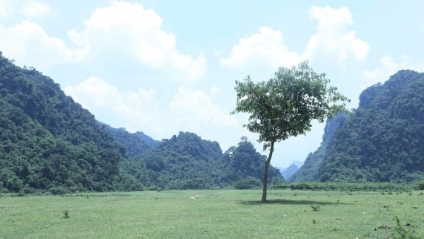 Pristine beauty of Dong Lam plain in Lang Son